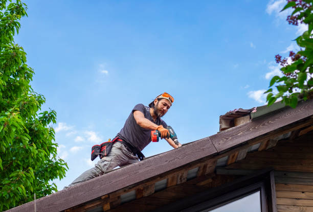 Best Gutter Installation and Repair  in Mount Olive, NC